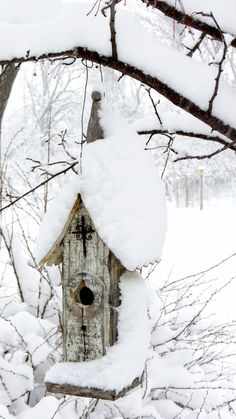 a birdhouse is covered in snow and surrounded by trees