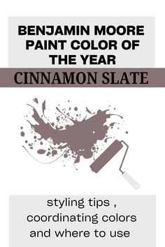 an advertisement for the paint color of the year cinnamon slate, including colors and where to use it