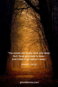 the woods are lovely, dark and deep but i have promises to keep and miles to go before i sleep