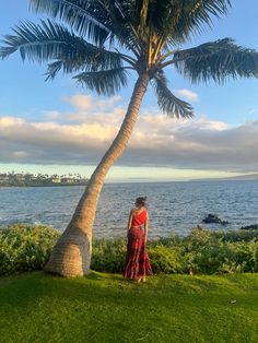 a woman standing under a palm tree next to the ocean in a red sari