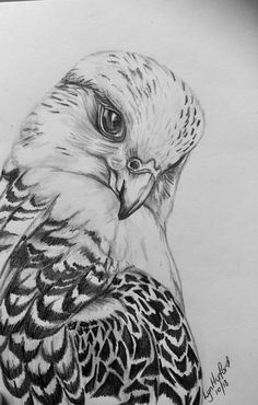 a drawing of a bird sitting on top of a paper