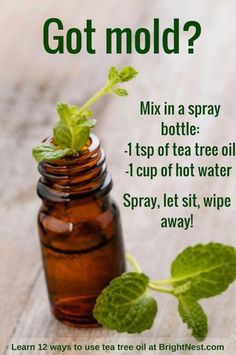 a bottle with a sprout growing out of it and the words, got mold? mix in a spray bottle 1 cup of tea tree oil