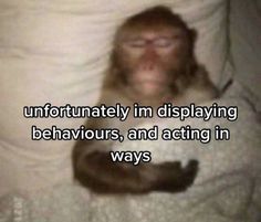 a monkey that is laying in bed with the caption unfortunately im dispalying behavours, and acting in ways