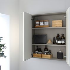 an open medicine cabinet filled with personal care items and a potted plant in the corner