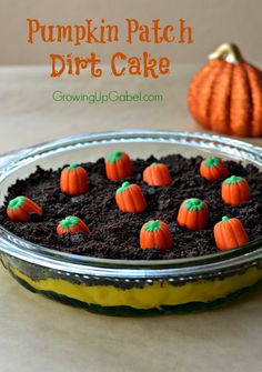 a cake in the shape of mini pumpkins on top of dirt with chocolate chips