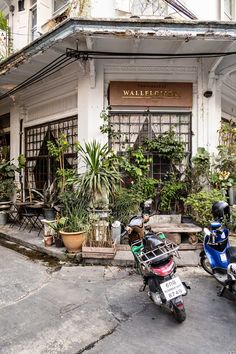 two scooters parked in front of a building with potted plants on the sidewalk