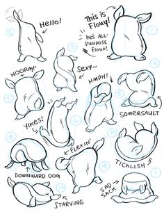 how to draw cartoon animals step by step instructions for children and adults in easy steps