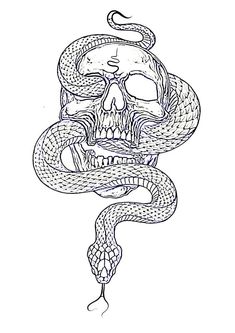 a drawing of a skull with a snake wrapped around it's neck and head