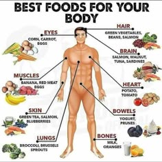 Pasti Fit, Healthy Diet Meal Plan, Fav Food, Muscle Body, Good Health Tips, Gym Workout Tips, Health Facts