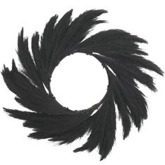 black feathers are arranged in a circle