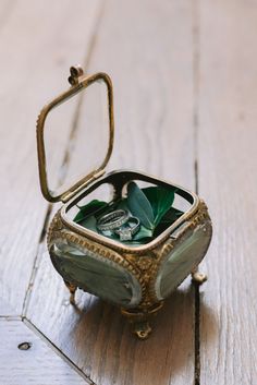 an open ring box sitting on top of a wooden floor next to a green plant