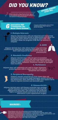 #StemCells #StemCell #StemCellTherapy #StemCellResearch #Science #Medicine #CordBlood #CordBloodBank #CordBloodBanks #CordBloodBanking #CordBloodBankNearMe #UmbilicalCord Cord Blood Banking, Stem Cell Research, Stem Cell Therapy, Cell Therapy, Nerve Cell, Wellness Products, Stem Cells, Emotional Health, Biology