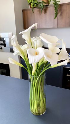 a vase filled with white flowers on top of a table