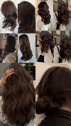 Cool Dark Chocolate Brown Hair, Thick Dense Hair, Different Types Of Brown Hair Shades, Black To Dark Brown Hair, Dark Brown Hair Curly, 4d Reality, Cocoa Brown Hair, 1c Hair, Asian Red Hair