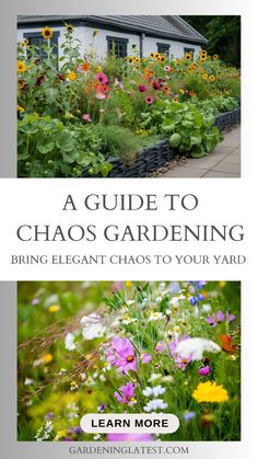 a guide to chaos gardening bring elegant chaos to your yard