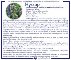 Hyssop Benefits Spiritual, Hyssop Witchcraft, Motherwort Magical Properties, Hyssop Benefits, Blue Lotus Magical Properties, Hoodoo Herbs And Roots, Hyssop Magical Properties, Blue Cornflower Magical Properties, Herbs For Protection