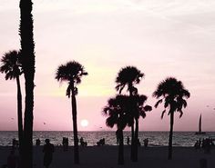 palm trees are silhouetted against the setting sun on a beach with people walking around