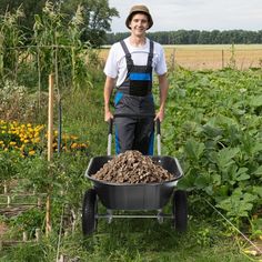 a man standing next to a wheelbarrow full of dirt in a garden area