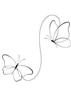 two butterflies flying side by side on a white background, one is black and the other is white