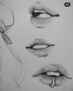 pencil drawing of different lips and nose shapes