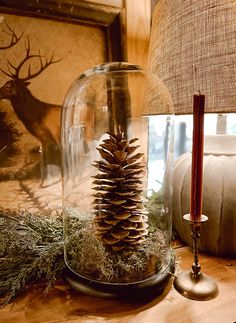 a pine cone in a glass dome on a table next to a candle and other decorations