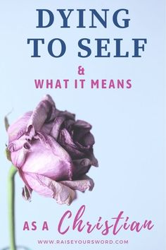 dying to self and what it means as a christian by rayneousworld com