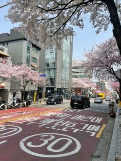 a city street with cherry blossoms on the trees