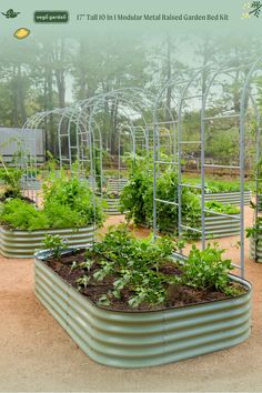 an outdoor garden with many plants growing in the ground and metal planters on each side