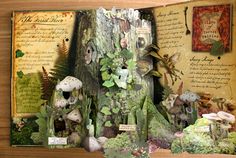 an open book with pictures and plants inside it on a wooden table next to other items