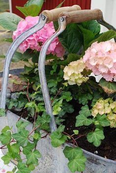 some pink and white flowers are in a metal pot with green leaves on the side