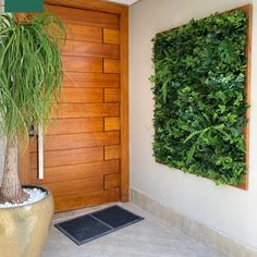 a green wall in front of a door with a potted plant next to it