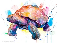 a watercolor painting of a turtle on a white brick wall with blue, yellow and pink colors