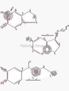 three different types of flowers and the names of each flower are shown in this drawing