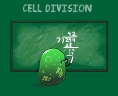 an image of cell division written on a chalkboard with the words cell division written in korean