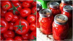 tomatoes and pickles are shown in two pictures