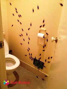 a bathroom with black bugs crawling on the wall and toilet paper dispenser