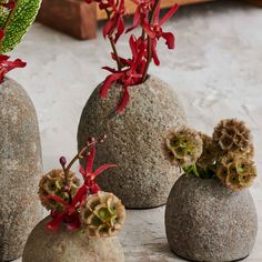 three stone vases with red flowers in them