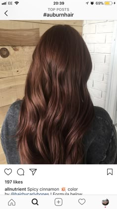 Chestnut Brown Hair With Red Undertone, Auburn Curly Hair Color, Russet Brown Hair, Chestnut Hair Color Dark, Dark Brown Copper Hair Color, Auburn Aesthetic, Dark Brown Auburn Hair, Dark Copper Brown Hair, Dark Honey Brown Hair