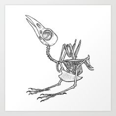 a black and white drawing of a skeleton bird with an eyeball on its head