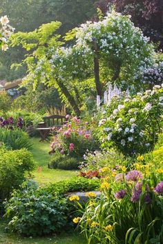 a garden filled with lots of different types of flowers