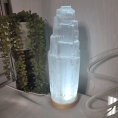 a tall glass object sitting on top of a table next to a potted plant