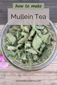 how to make mullein tea in a glass jar with the title overlay