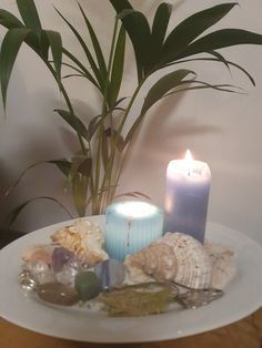 a candle and some seashells on a plate with a plant in the background