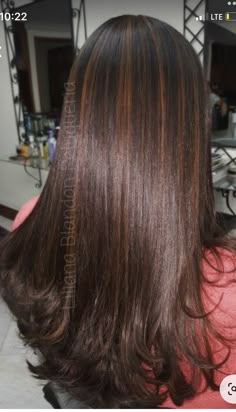 Highlights For Dark Brown Wavy Hair, Brown And Ginger Hair Highlights, Y2k Highlights Hair, 2000s Hair Color, 90s Highlights Hair, Ginger Highlights, Winter Hair Colors, Honey Brown Hair, Brown Hair Inspo