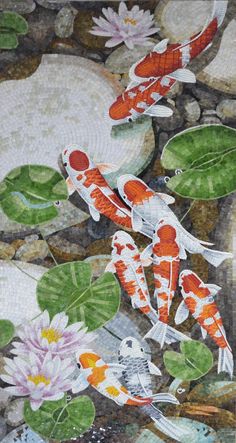 two koi fish are swimming in the pond with lily pads and water lilies