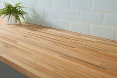 a potted plant sitting on top of a wooden counter