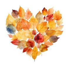 watercolor painting of autumn leaves arranged in the shape of a heart on a white background