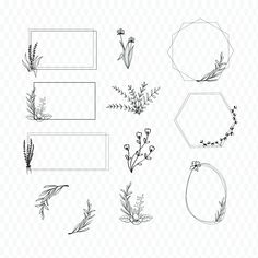 the various flowers and frames are drawn in black ink on a white background, with one line