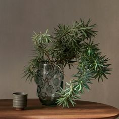 a potted plant sitting on top of a wooden table next to a candle holder