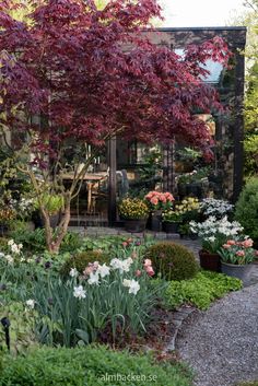 the garden is full of colorful flowers and trees